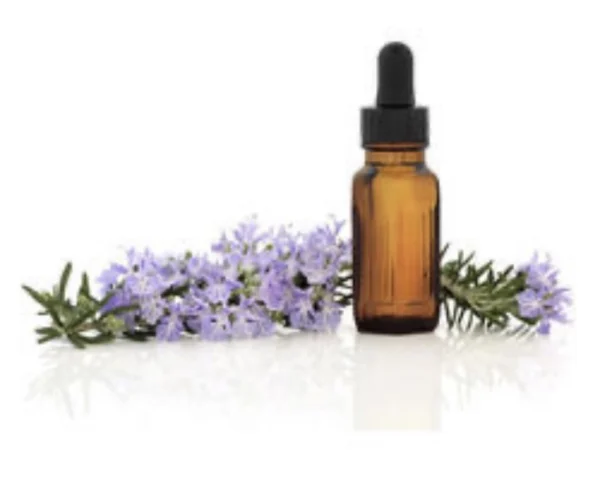 Lavender Organic Essential Oil 15ml